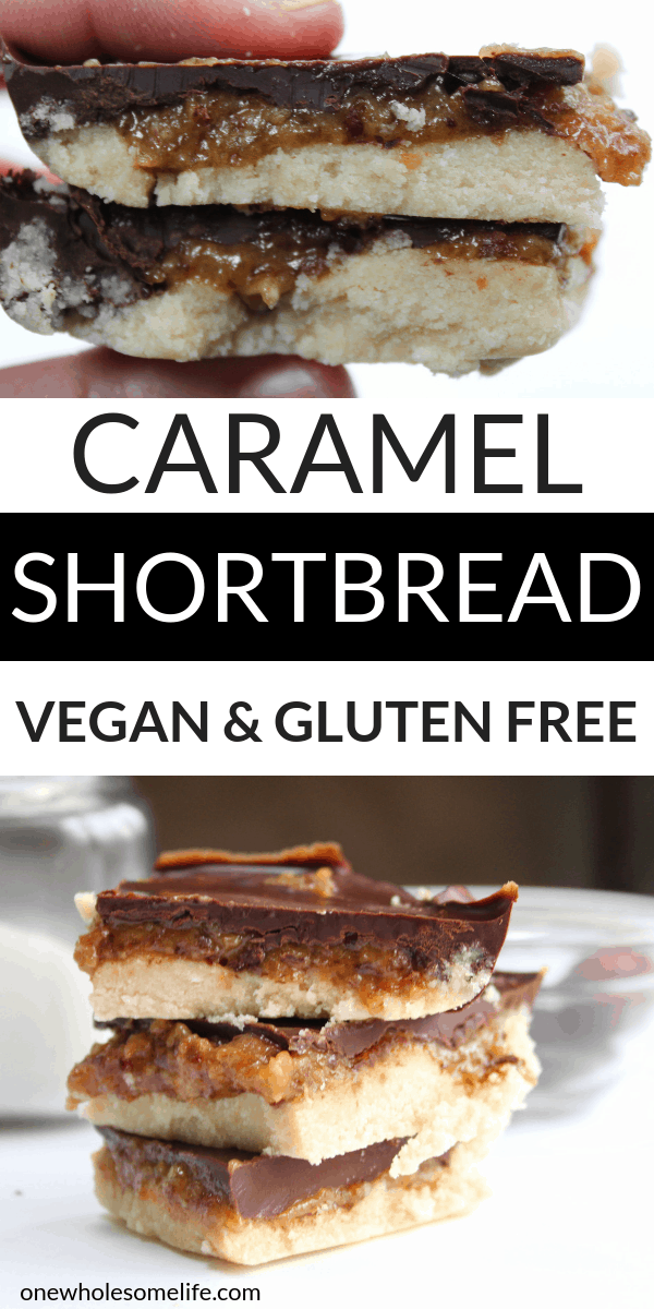 These paleo millionaire bars vegan, dairy free, and gluten free! Great healthy snack or healthy treat. 
