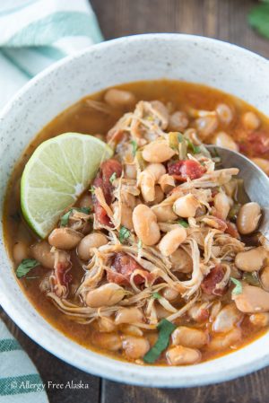 The Ultimate Collection of Healthy Instant Pot Recipes - One Wholesome Life