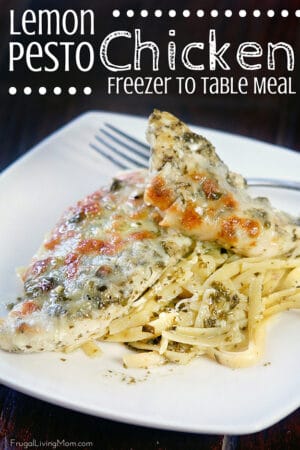 Healthy Freezer Meals that are Kid Friendly - One Wholesome Life