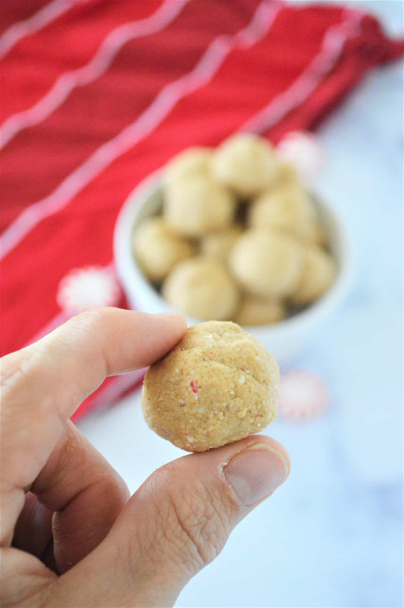 Vanilla Peppermint Protein Balls One Wholesome Life