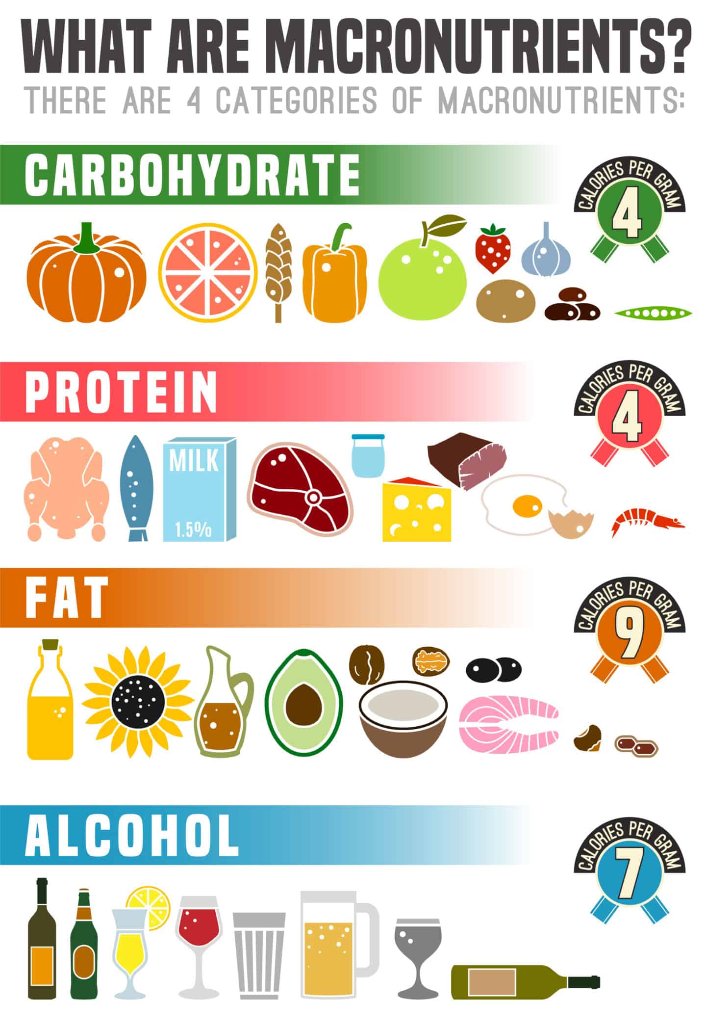 What Are Macros - One Wholesome Life