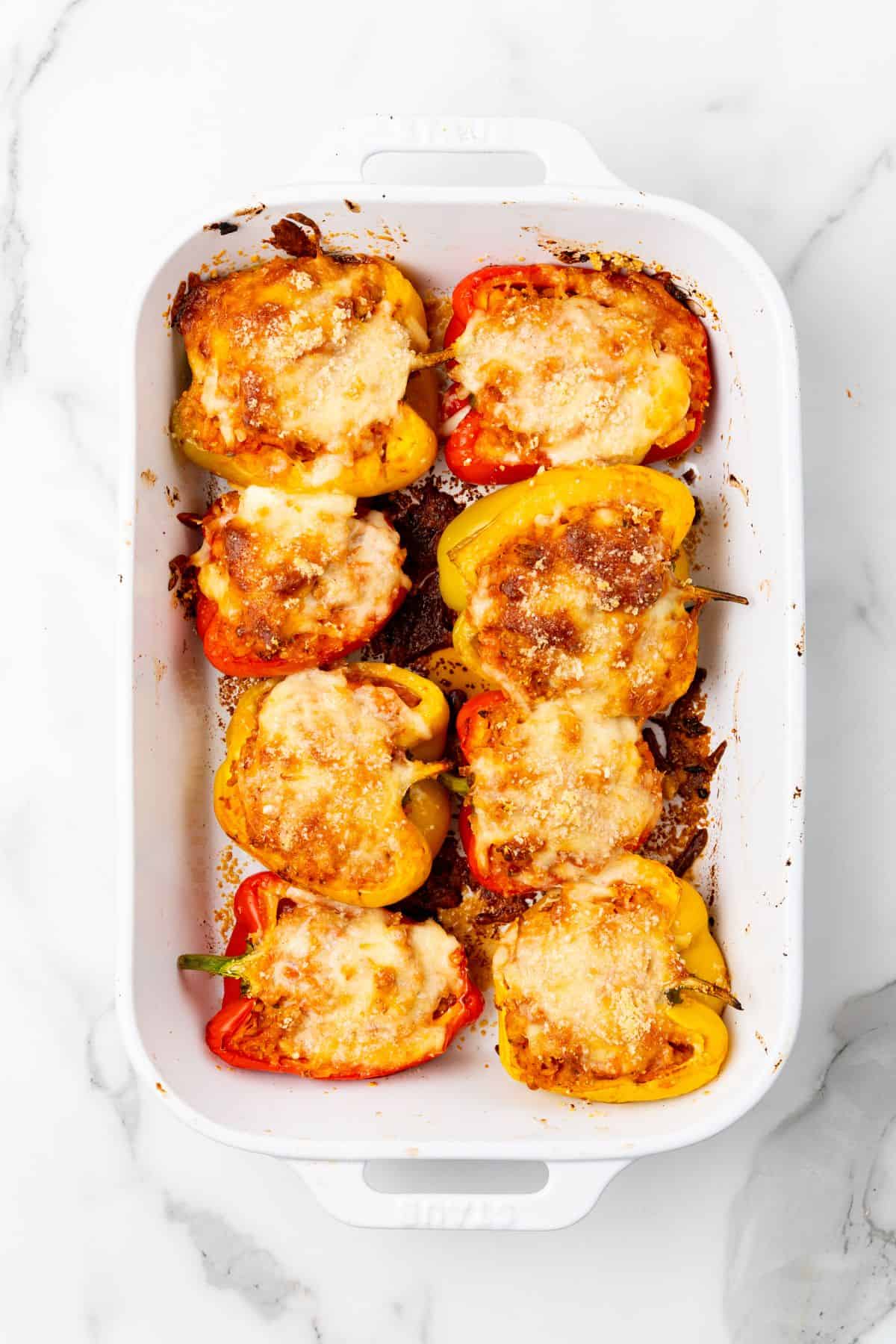 Ground chicken stuffed peppers in a white baking dish with melted cheese. 