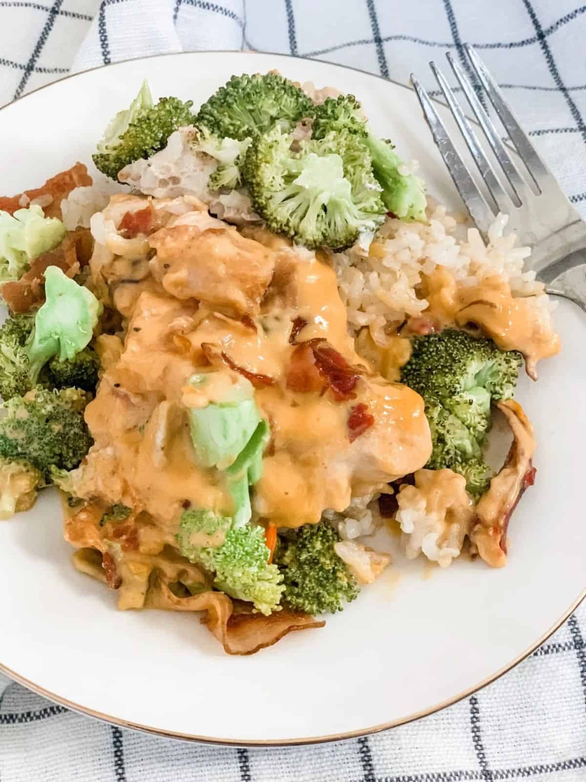 S plate featuring chicken, broccoli, cheese, and rice.