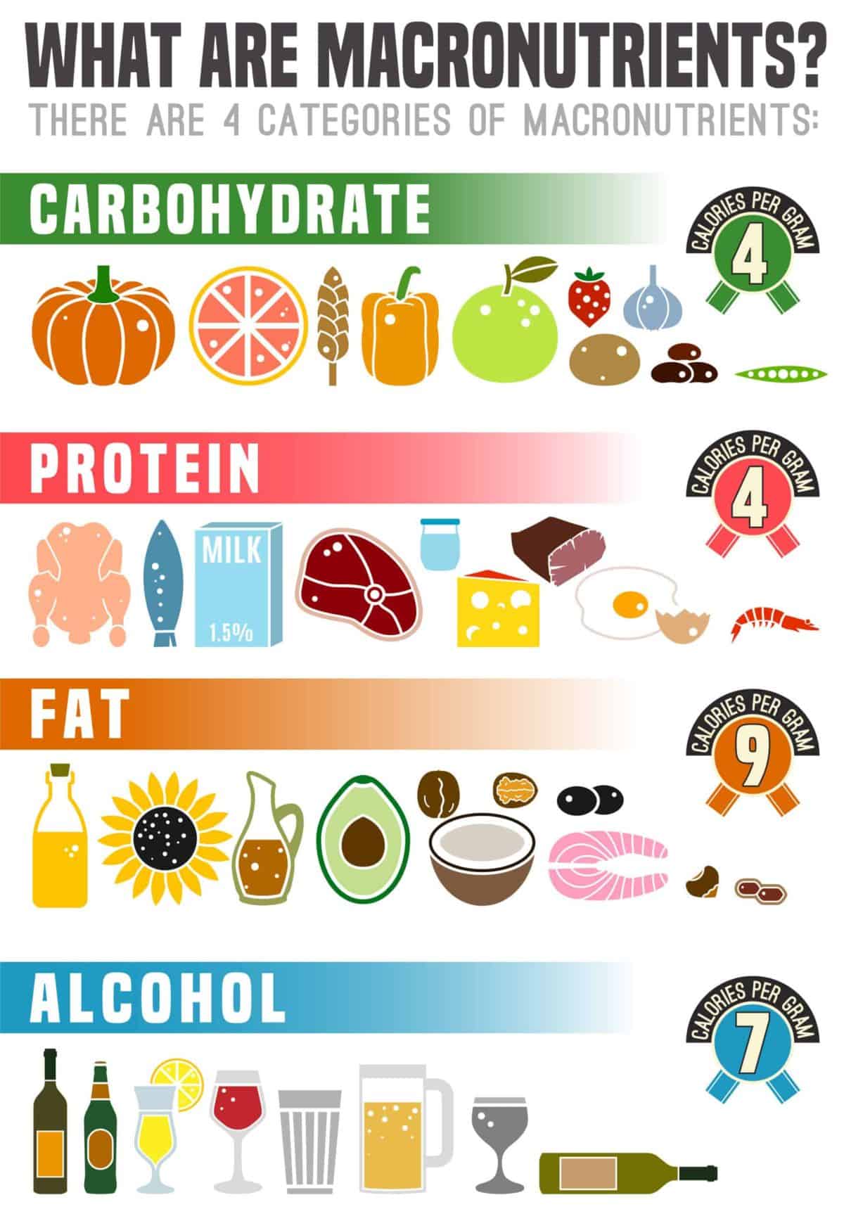 Infographic that explains the 4 categories of macronutrients: carbs, protein, fat, and alcohol. 