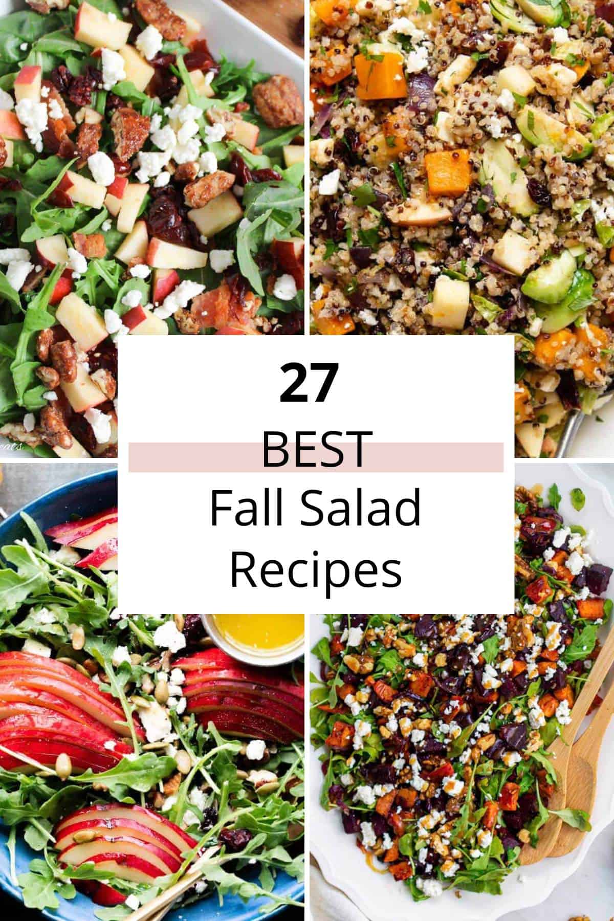Best Fall Salads (easy + healthy autumn salads)