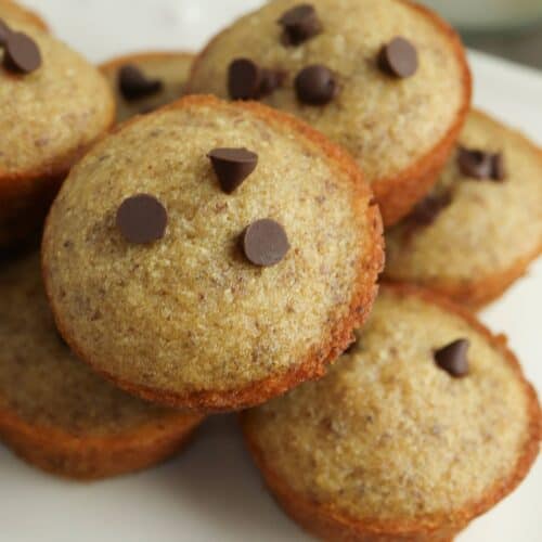 A plate of freshly baked protein mini muffins topped with chocolate chips.