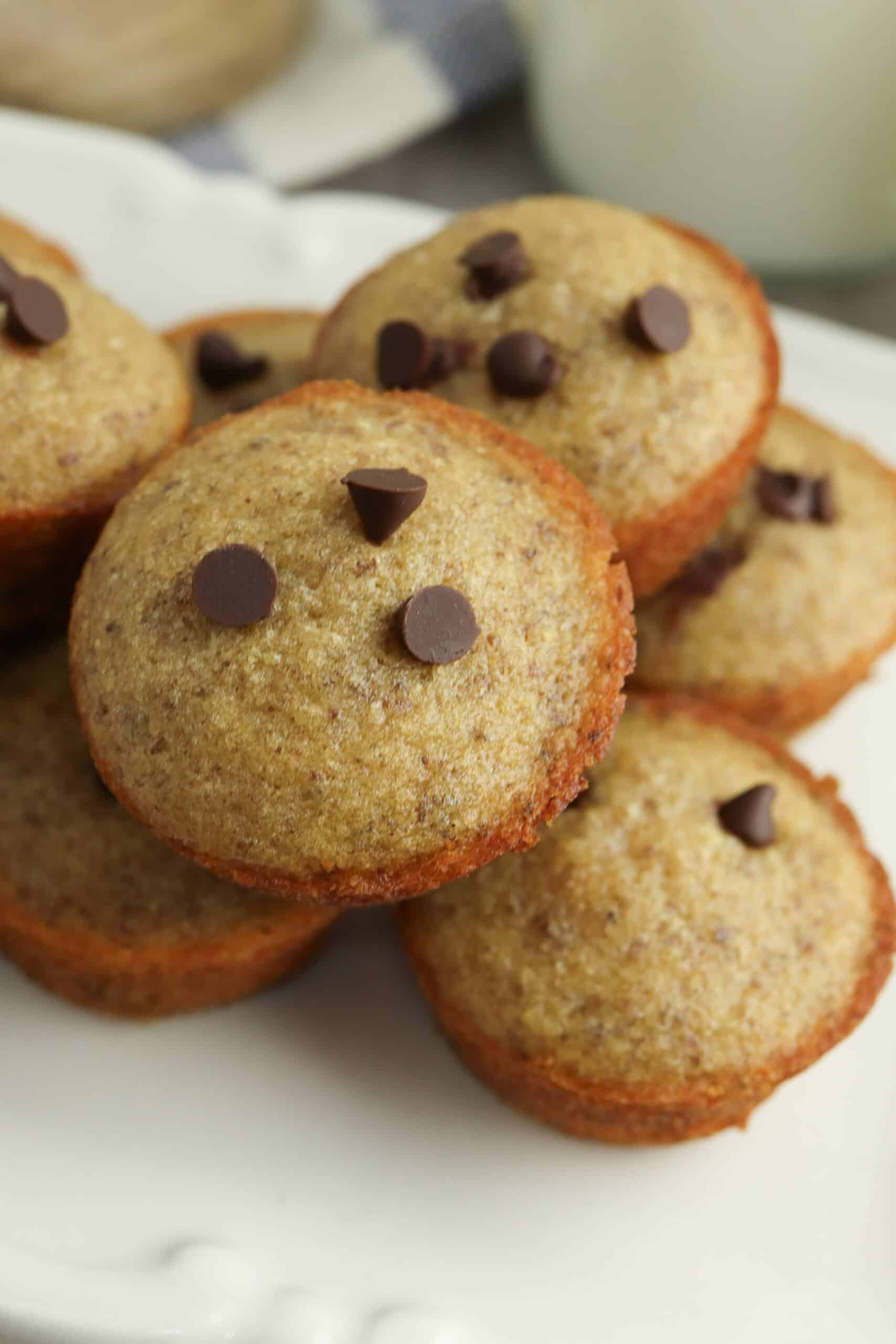A plate of freshly baked protein mini muffins topped with chocolate chips.