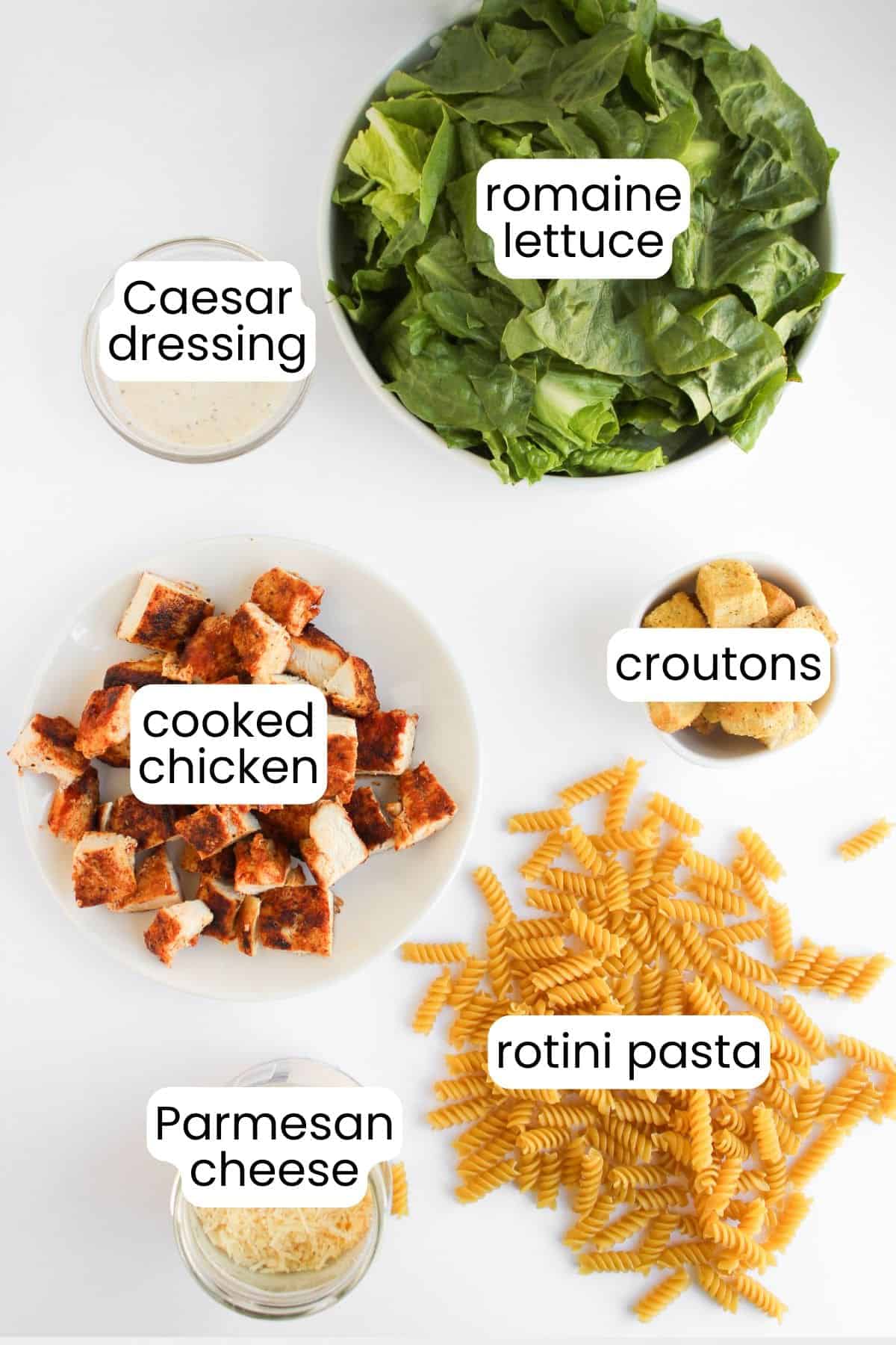 Top-down view of separated Chicken Caesar Pasta Salad ingredients—romaine lettuce, Caesar dressing, cooked chicken, croutons, rotini pasta, and Parmesan cheese—each clearly labeled.