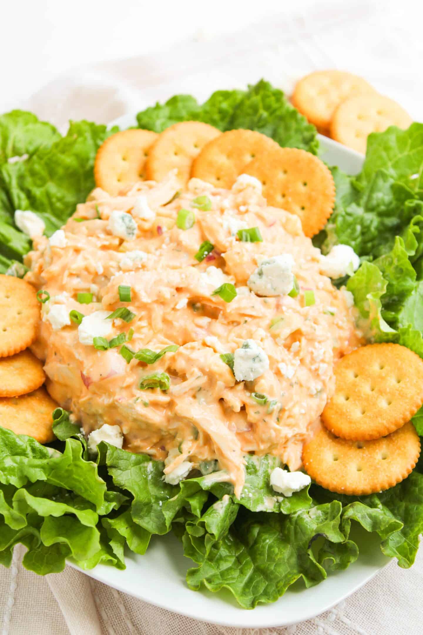 A plate of Buffalo Chicken Salad dip on a bed of lettuce, topped with blue cheese crumbles and surrounded by round crackers.