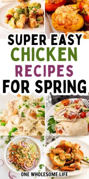 Chicken Recipes for Easy Springtime Meals - One Wholesome Life