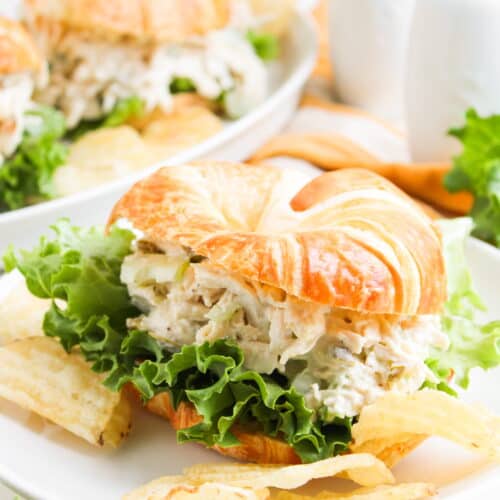 A croissant sandwich filled with Chicken Salad Chick Copycat Jalapeño Holly chicken salad and lettuce, served on a white plate with potato chips and a lettuce garnish.