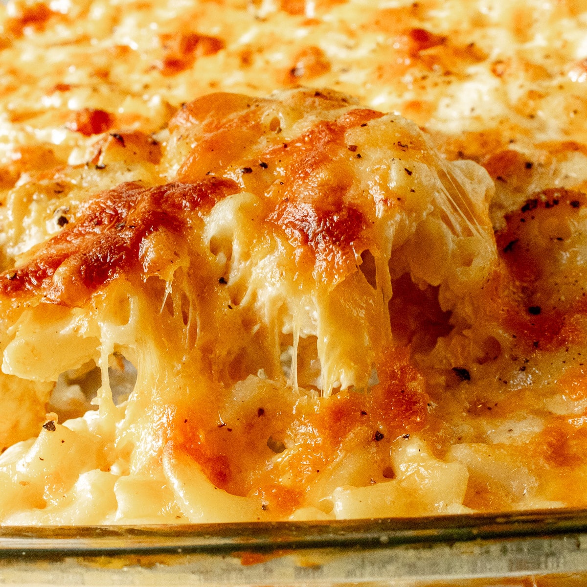 Close-up of baked macaroni and cheese with a golden, melted cheese topping and stretchy cheese pulling away from the dish—an irresistible choice among side dishes for any graduation party.