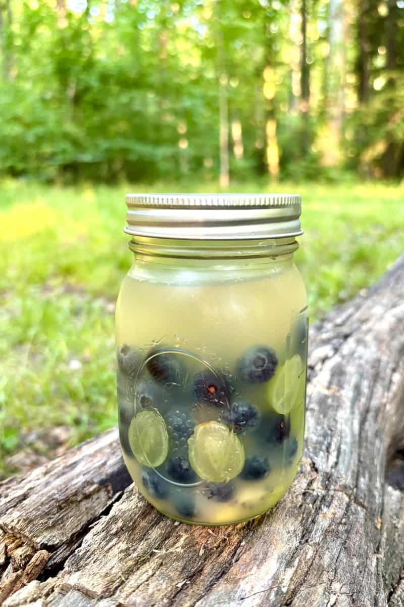 A mason jar filled with summer sangria, bursting with blueberries and green grapes, sits on a log in a forested area.