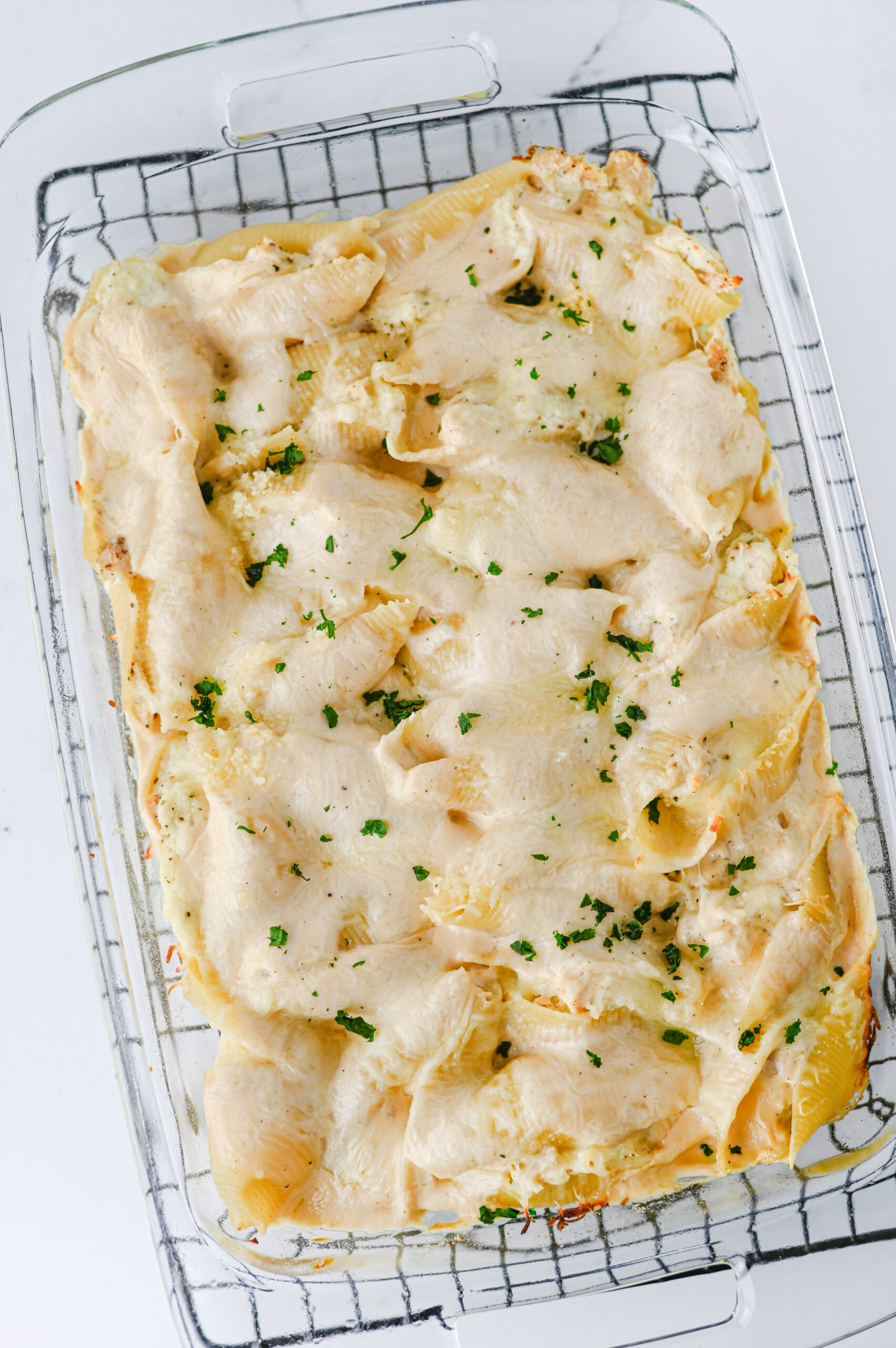 Baked chicken Alfredo stuffed shells with melted cheese and parsley.