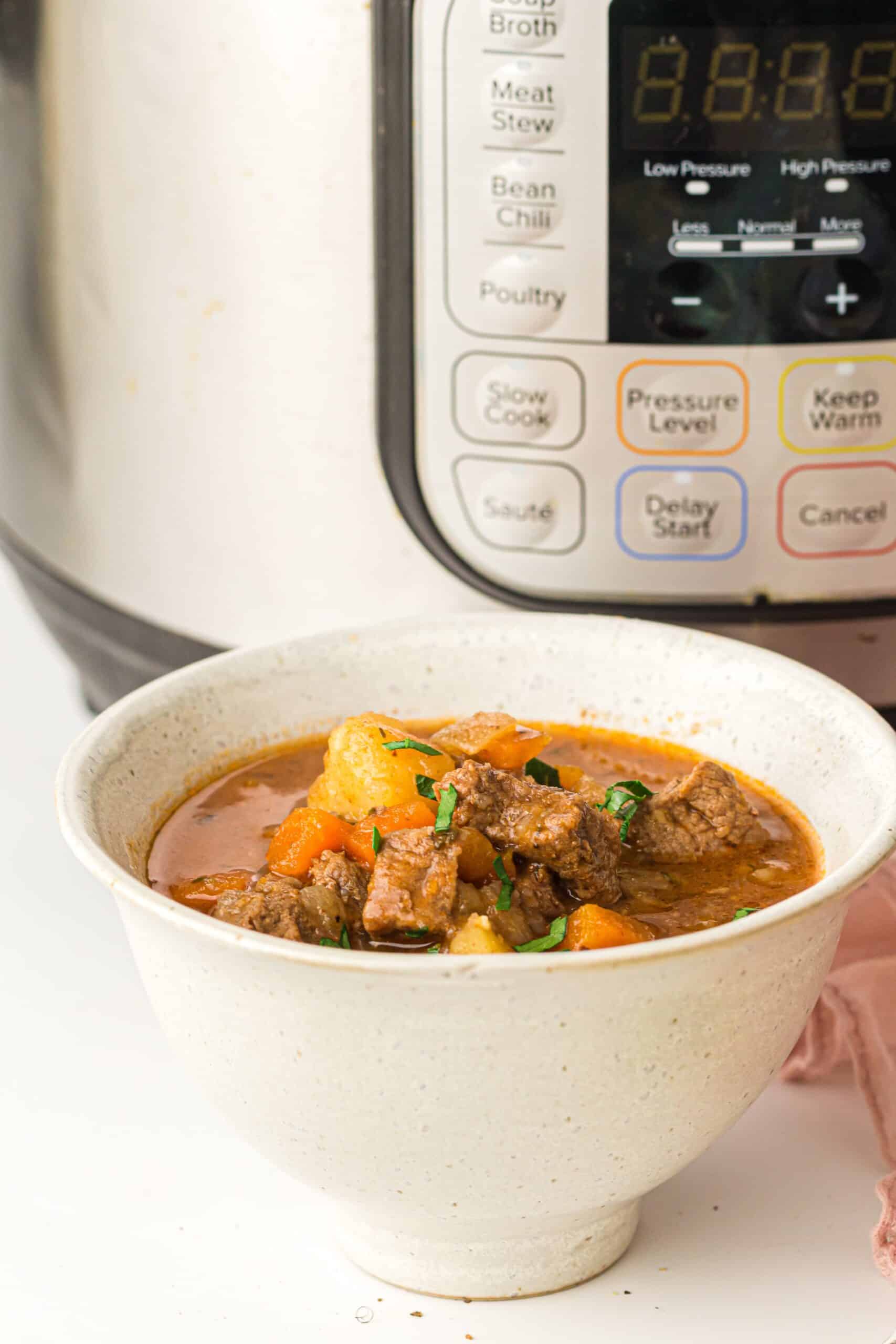 Instant Pot Beef Stew