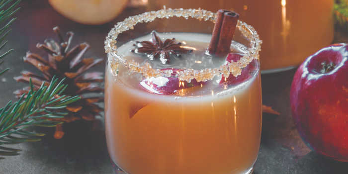 Holiday Apple Cider Punch