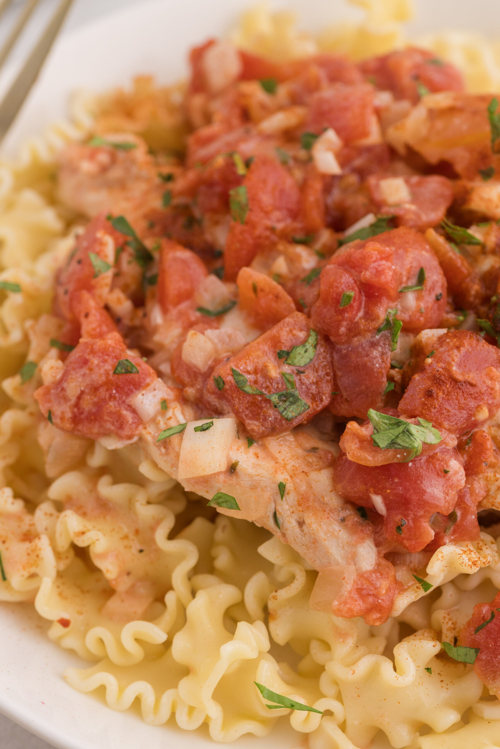 Close-up of tender chicken paprikash with tomatoes and parsley over egg noodles.