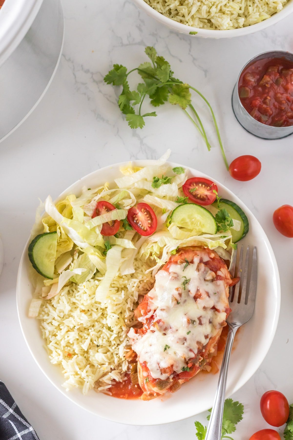 cheesy crockpot salsa chicken served with rice and salad