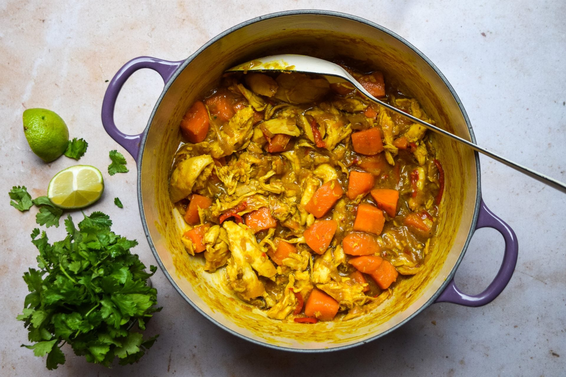 Vietnamese-Style Turkey & Sweet Potato Curry