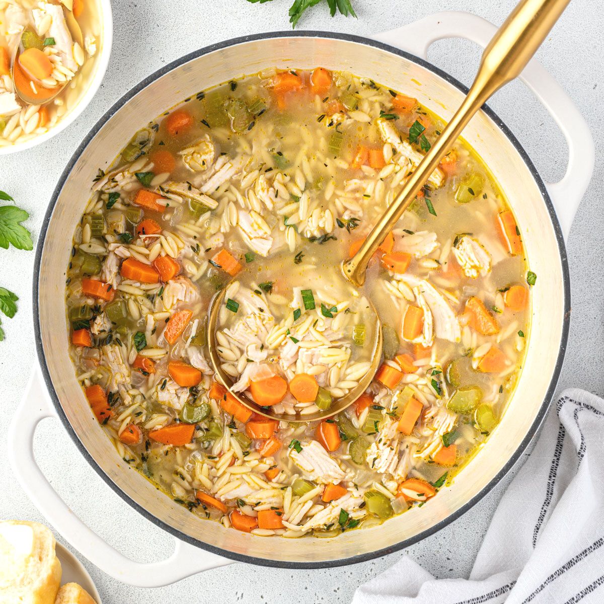 Turkey Orzo Soup