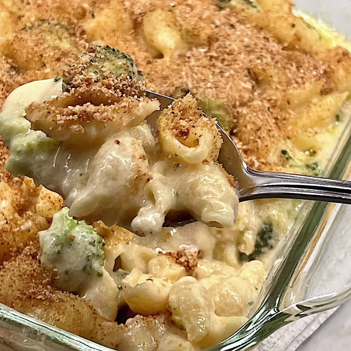 Chicken Broccoli Mac & Cheese